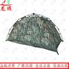 Long Xia Automatic Waterproof Camping Tent