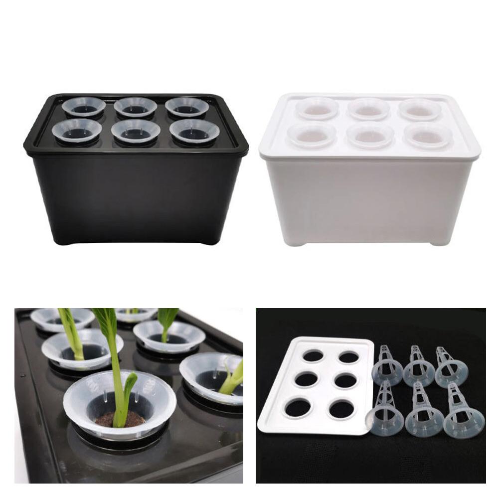 Hydroponics Growing Box 6 Holes Indoor Cultivation System for Household Plants with Sunlight Simulation Feature