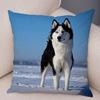 Pet Animal Sofa Cushion Cover Cute Siberian Husky Pillowcase Decorative Dog Print