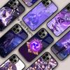 Genshin Impact Raiden Shogun Magnetic Phone Case For APPLE iPhone 17 Air 16 14 13 12 Pro Max 15 Plus Wireless MagSafe Cover