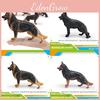 Dog German Shepherd Replication Pvc Model For Children Gift And Home Decor