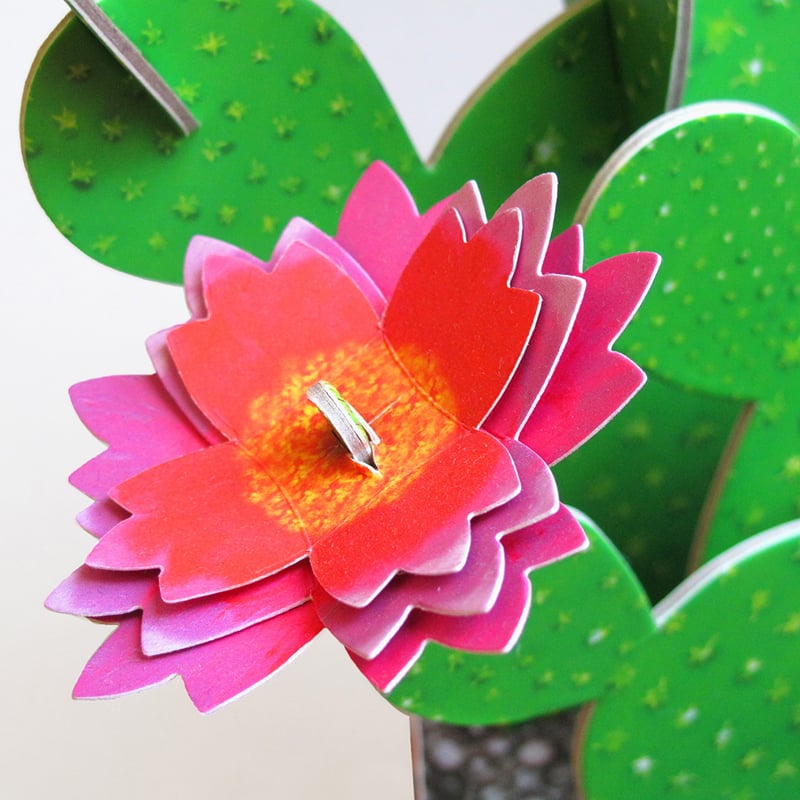 PAPER CAT DIY Paper Cactus Kit - Prickly Pear Cactus