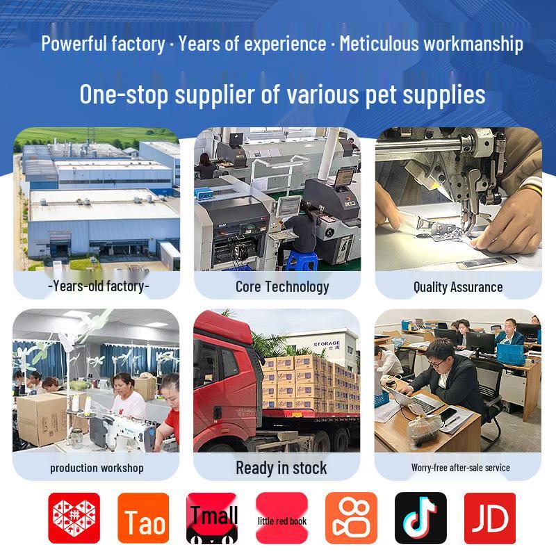 Stainless Steel Bird Feeding Spoon for Parrots, Cockatiels, Budgies, and Baby Birds.