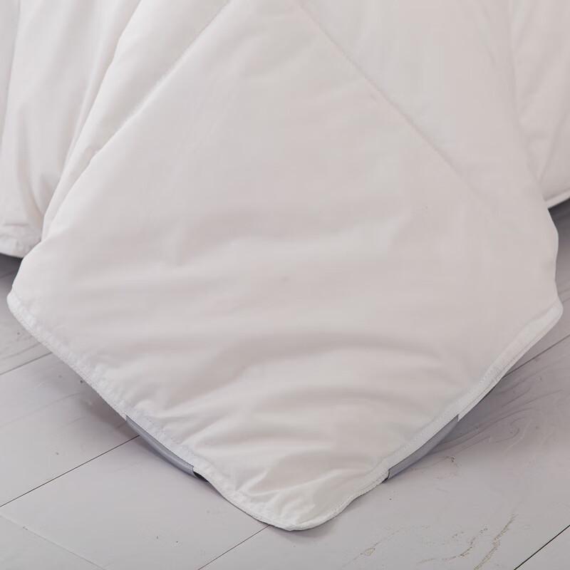 Sheng Funi Home Warm Polyester Fiber Quilt