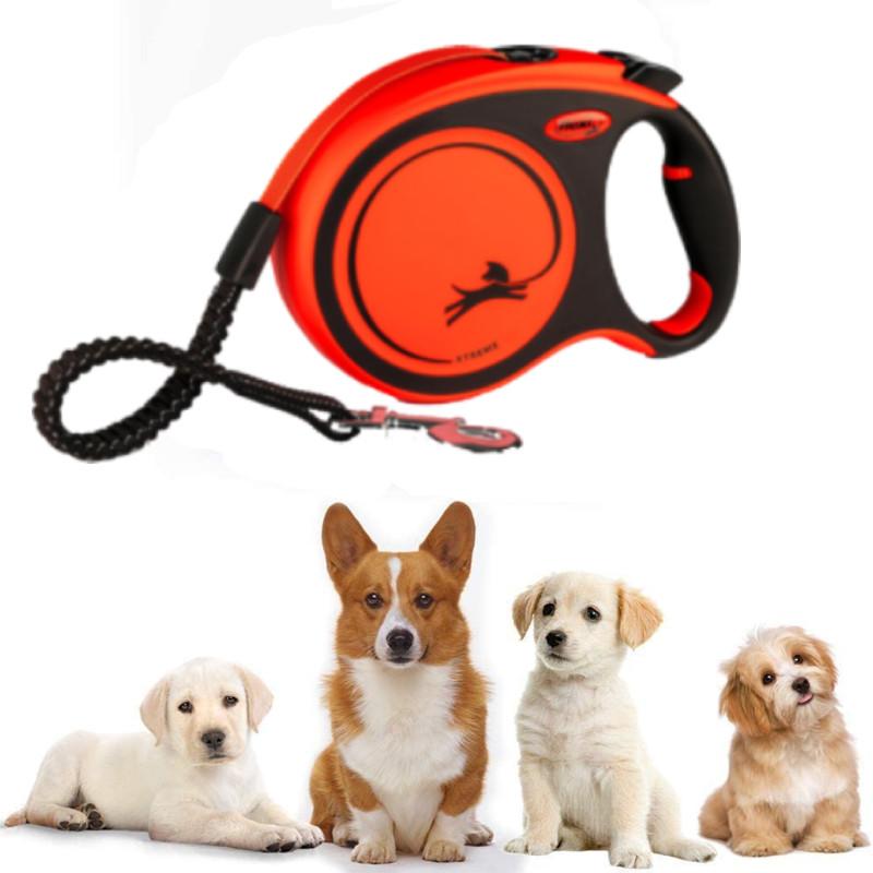 Flexi Orange Xtreme Retractable Pet Traction Cord For Dog Exercise And Play