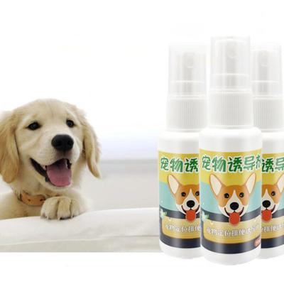 30ml Pet Dog Puppy Toilet Indoor Outdoor Urinating Pee Training Aid Spray Agent