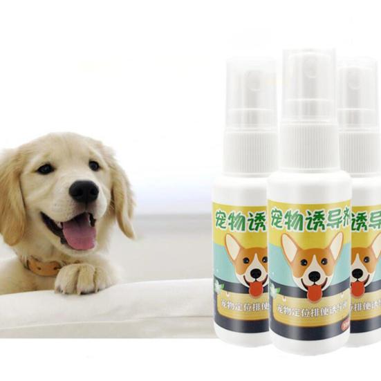 30ml Pet Dog Puppy Toilet Indoor Outdoor Urinating Pee Training Aid Spray Agent