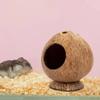 Bite Resistant Coconut Shell Hamster House Scratch-resistance Hamster Nest Toy  Chew Exercise