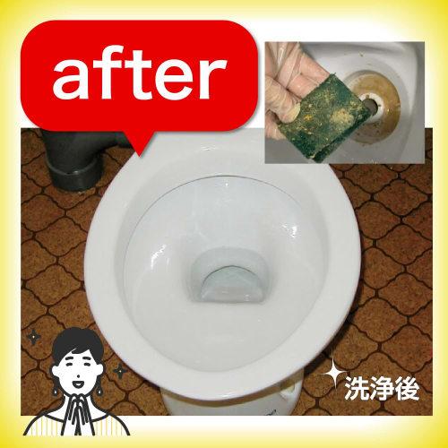 Skill and Craftsmanship Series: No Chlorine Needed! Removes Urinary Stones Without Damaging Metal! Contains Golden Organic Acids! Toilet Master 500ml