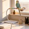 Wear Resistant Desktop Bird Perch Stand Bite Resistant Parrot Training Stand  Bird Training