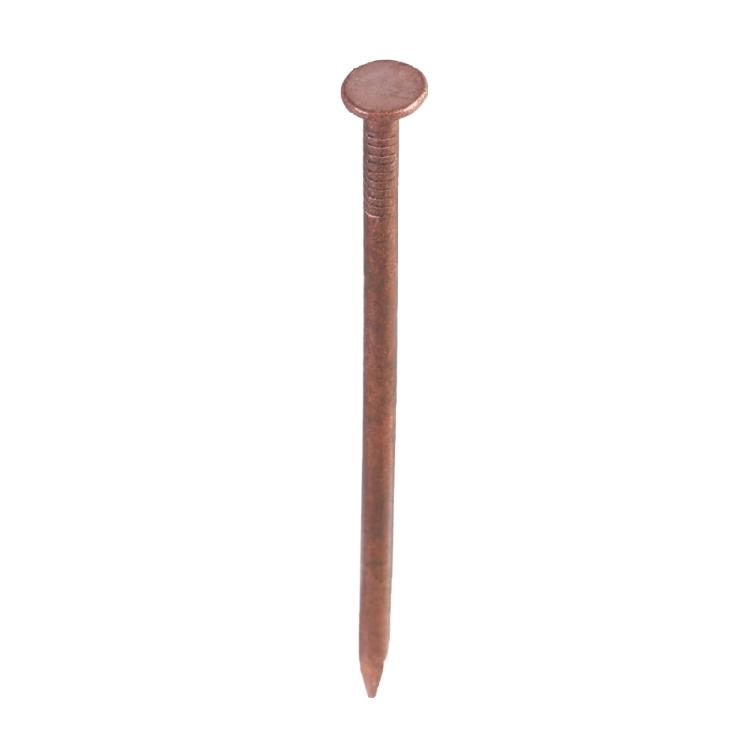 15Pcs Copper Nails for Killing Trees Stump Removal Spikes Tree Stump Killers for Killing Trees Stump Root Enduring