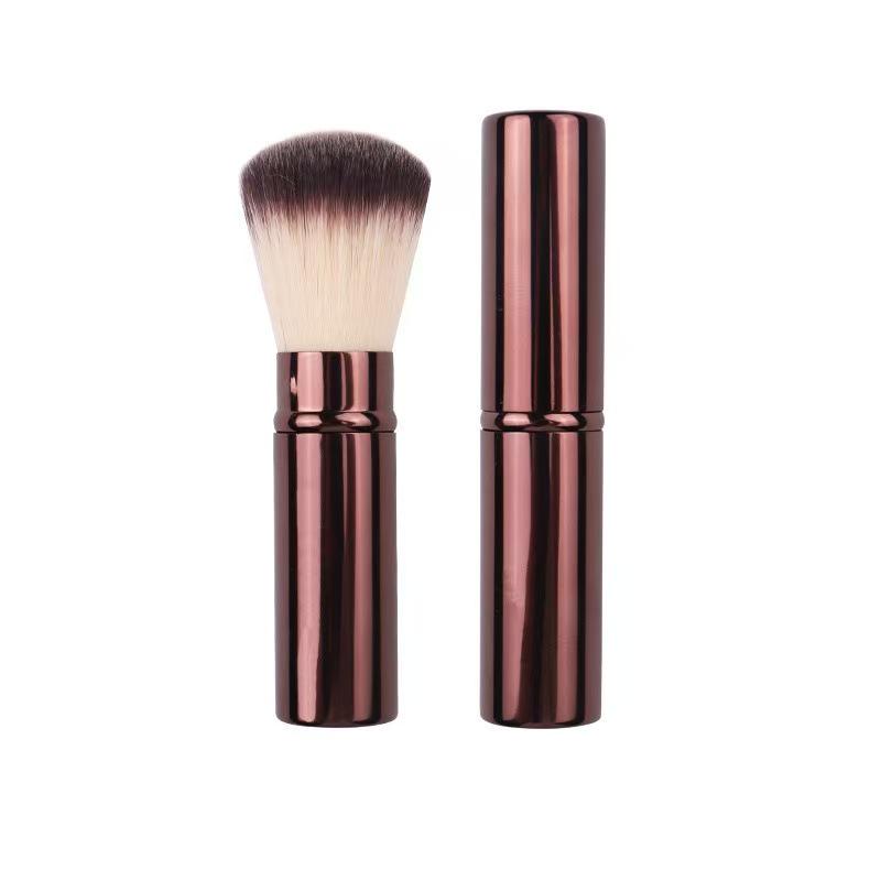 20-Piece Makeup Brush Set: Powder, Blush, Foundation, Eyeshadow, Concealer, Lip Brushes