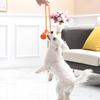 Eisenwell Rubber Pet Ball with Rope - Durable Chew & Fetch Toy