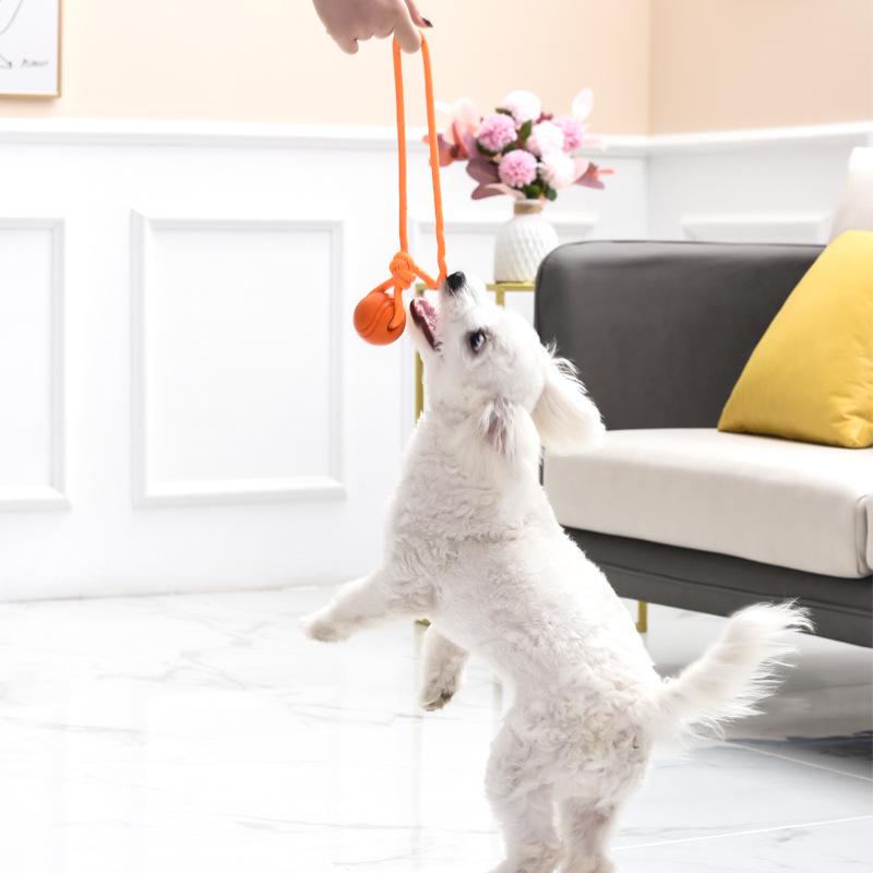 Eisenwell Rubber Pet Ball with Rope - Durable Chew & Fetch Toy