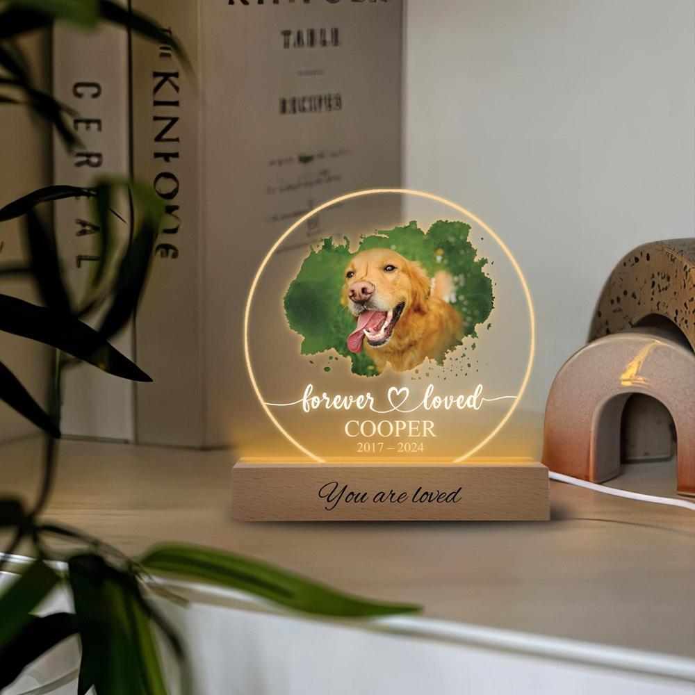 Custom Pet Memorial Decor to Honor Your Furry Friend Forever with Personalized Touch Dog Acrylic Photo Frame Pet Picture Plaque
