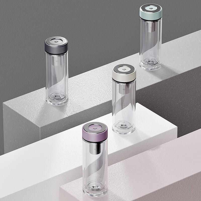 Portable Double-Wall Glass Tea Infuser Bottle