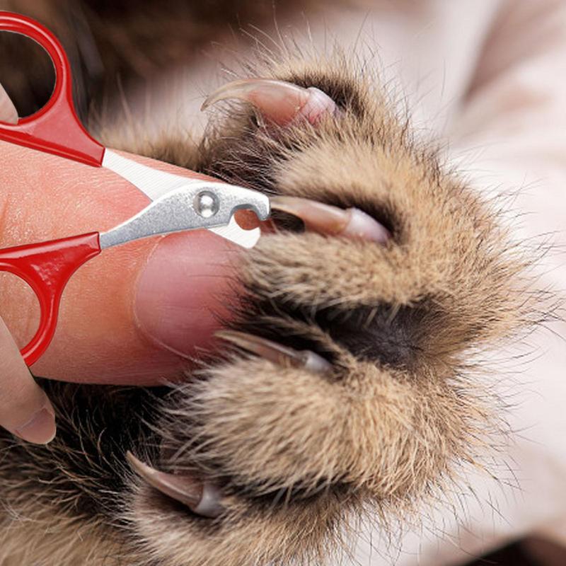 Cat Nail Scissors PetDog Nail Clippers Toe Claw Trimmer Professional Pet Grooming Products Sharps Angled Blade Tool