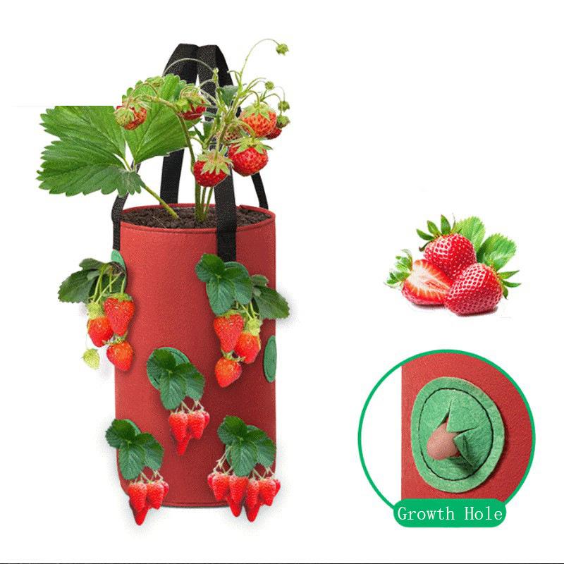 1Pc Hanging Planting Bag Strawberry, Tomato Hanging Planting Bag Vertical Garden Strawberry Planting Pot