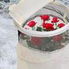 Yousheng Plant Protector Cone Winter Pop-Up Rose Collar Freeze Protection Roses Bush Cover with Mesh Protect Plants from Frost Animals for Garden