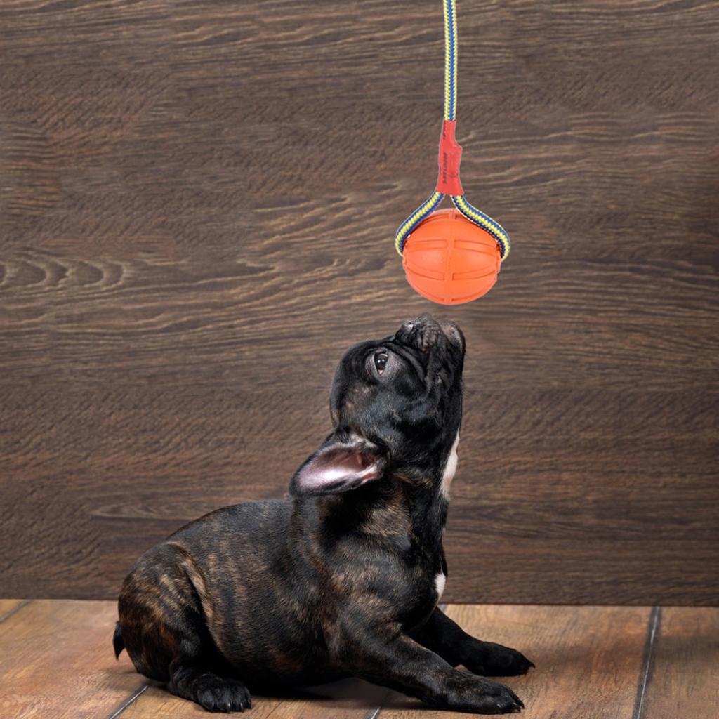 Portable EVA Pet Dog Training Bite Resistant Interactive Chew Toys with Rope(Red)