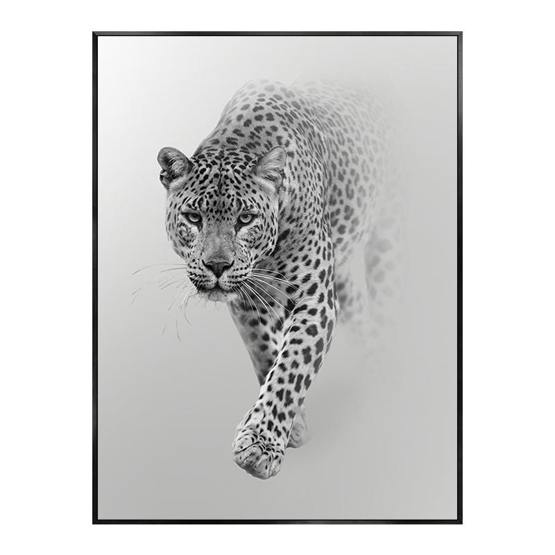 

Леопард, лев, слон, панда, тигр, животные, постеры и принты, современная живопись на холсте, настенные картины, украшения для гостиной и дома 40x50cm No Framed