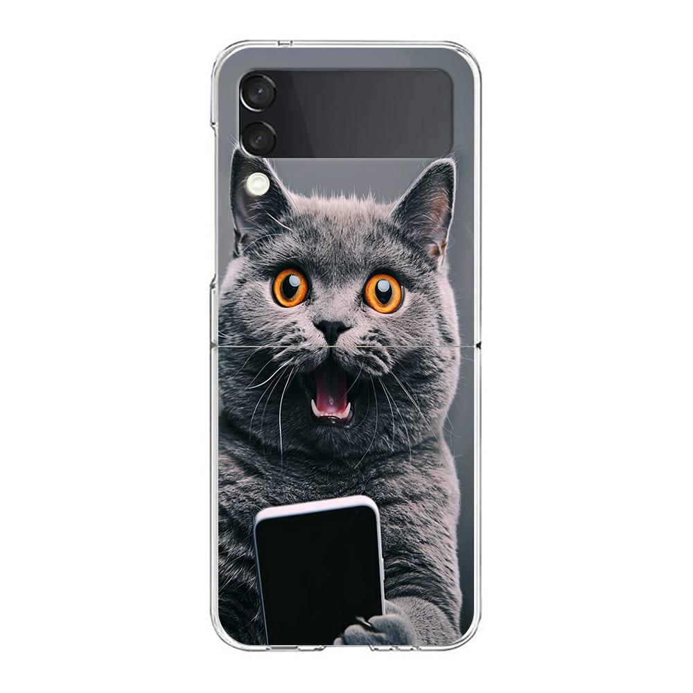 Cover per Telefono Per Samsung Galaxy Z Flip 7 6 5 4 Custodia Trasparente Per Samsung Z Flip 3 PC Rigido Pieghevole Gatto British Shorthair Carino