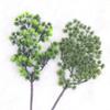 Simulation Of A Single Beauty Pine Branch Fruit Cypress Branch Pine Needle Tree Branch Wukesong Project Matching Plant List