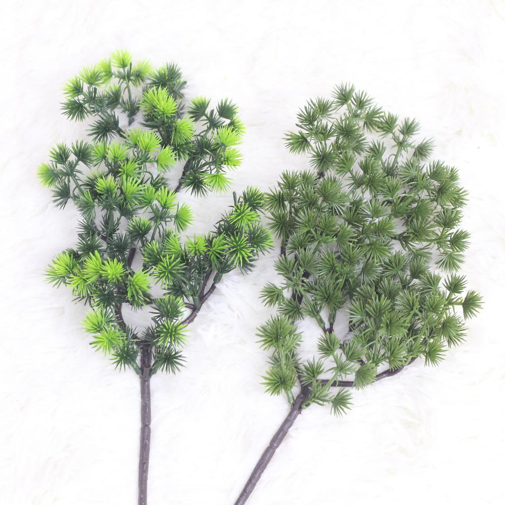 Simulation Of A Single Beauty Pine Branch Fruit Cypress Branch Pine Needle Tree Branch Wukesong Project Matching Plant List