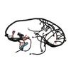 Engine Wiring Harness LS1?4L60E Professional Stand Alone Harness Replacement For CORVETTES