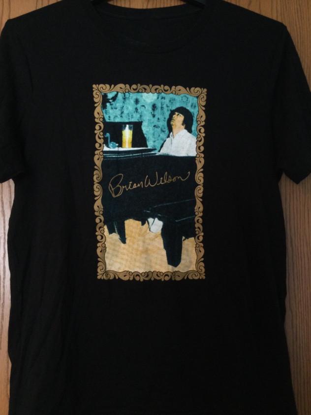 Брайан Уилсон - США. Футболка унисекс для тура, все размеры от S до 5XL, LI155, футболка унисекс S