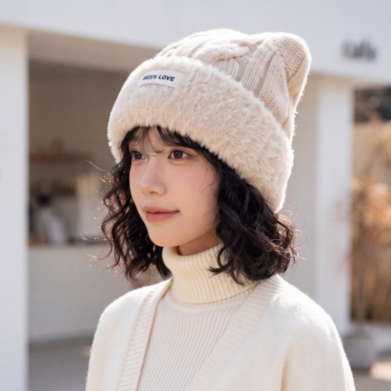 Autumn and winter new student versatile thickened warm wool hat female cute ears female plush edge pullover knitted hat