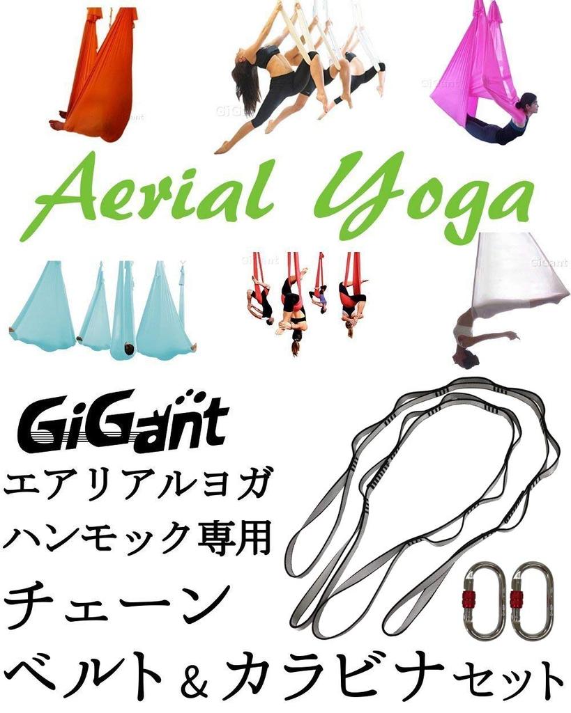 GiGant Set of 2 Daisy Chains and 2 Height Adjustable Strap Belt for Aerial Yoga Carabiners, (110cm, Gray)