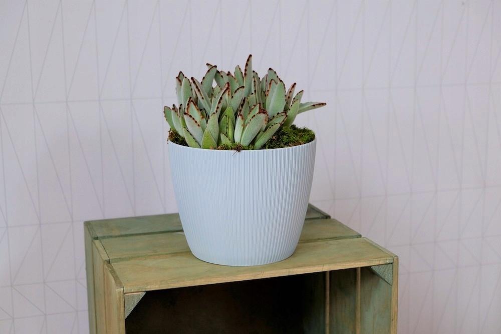 Flowerpot Plastic Gray Lamela 30 X 30 X 24.5 1 Pc