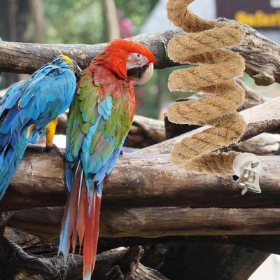 Bird Rope Perch High Quality Wear Resistant Climbing Stand for Small Parrots Parrot Rope Swing Bird Cage Perch Accessory