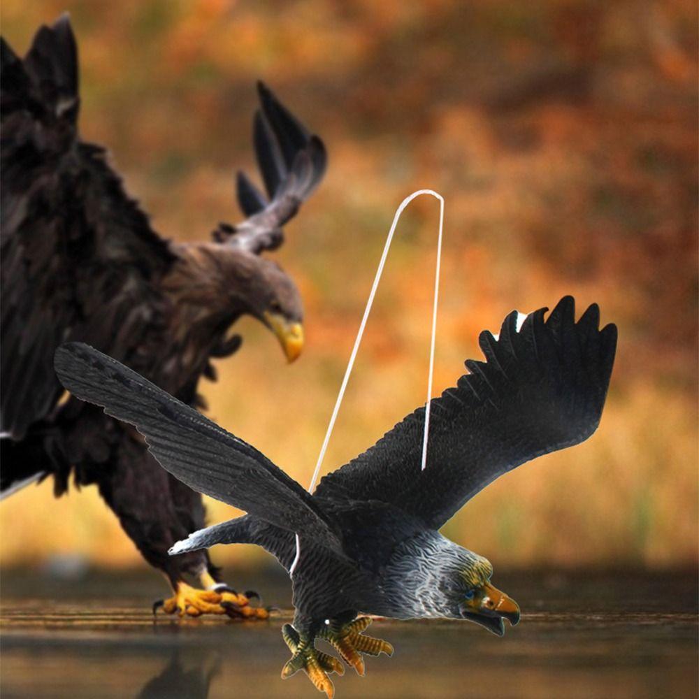 Waterproof Realistic Education Ornament 3D Animals Figures Simulation Animal Bird Toy Eagle Toy