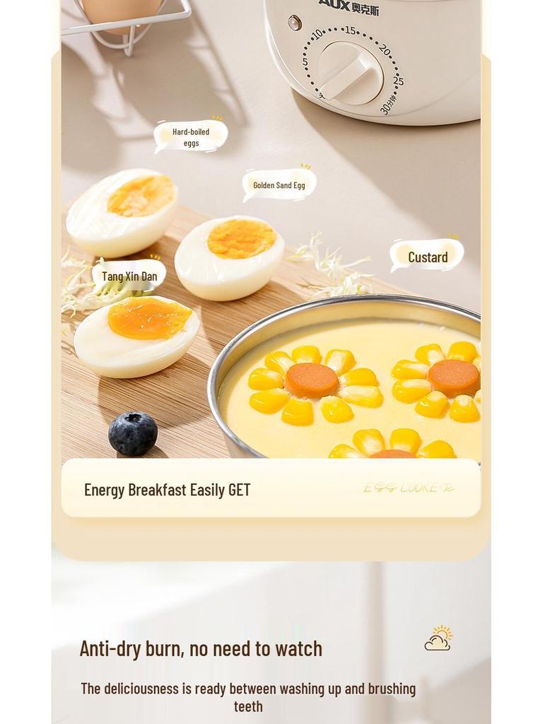 Compact Stainless Steel Automatic Egg Boiler with Auto-Off