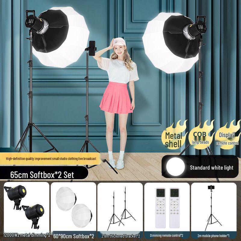 Zheyu Bright Spherical Fill Light for Indoor Live Streaming and Photography