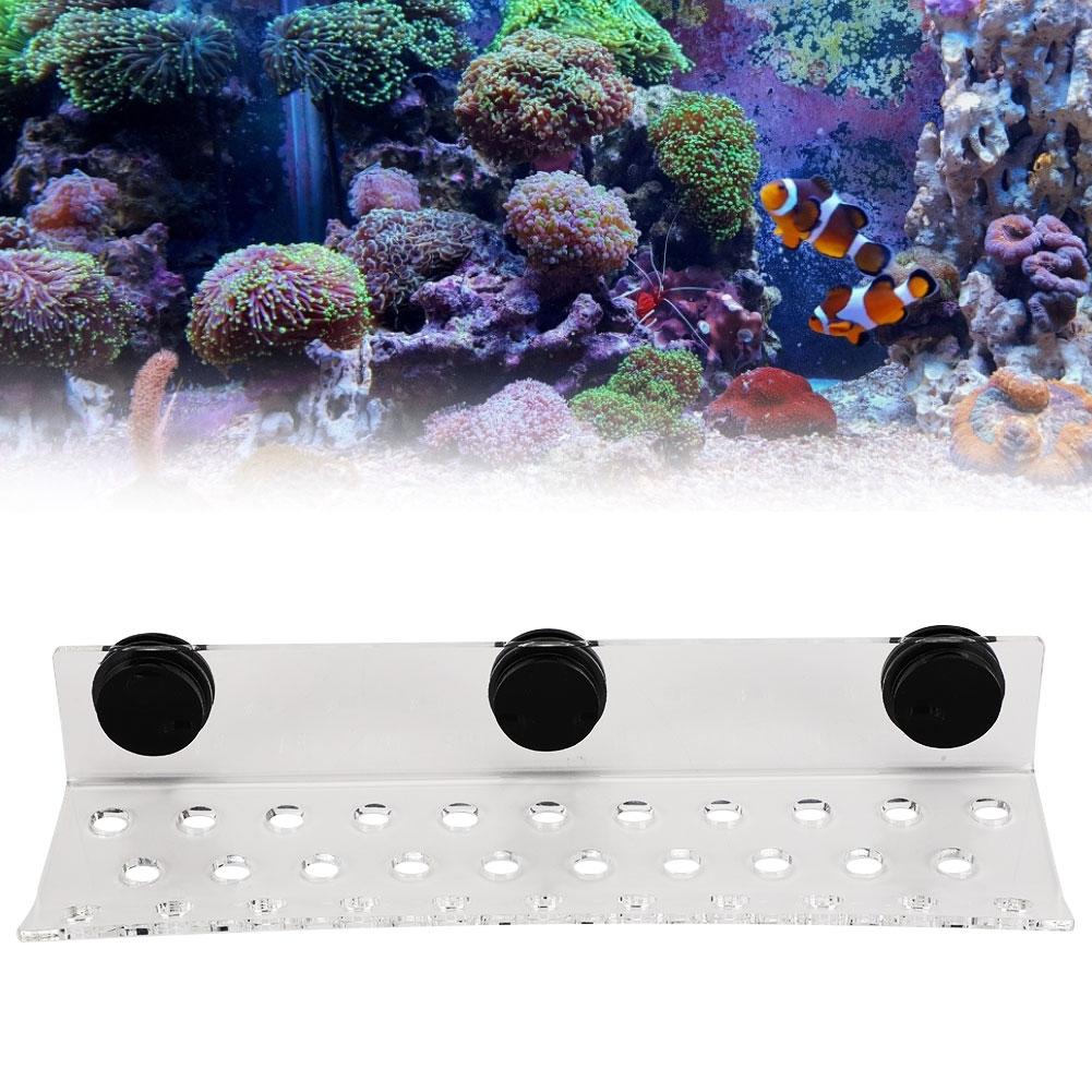 Aquarium Meerwasser Korallen Racks Halterung Halter Fischtank Knopfframe Verbesserter Saugfuß 32 Löcher