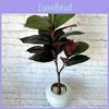 Brasiliensis Hevea Artificial Leaf With Lush Foliage For Photography Prop Decor