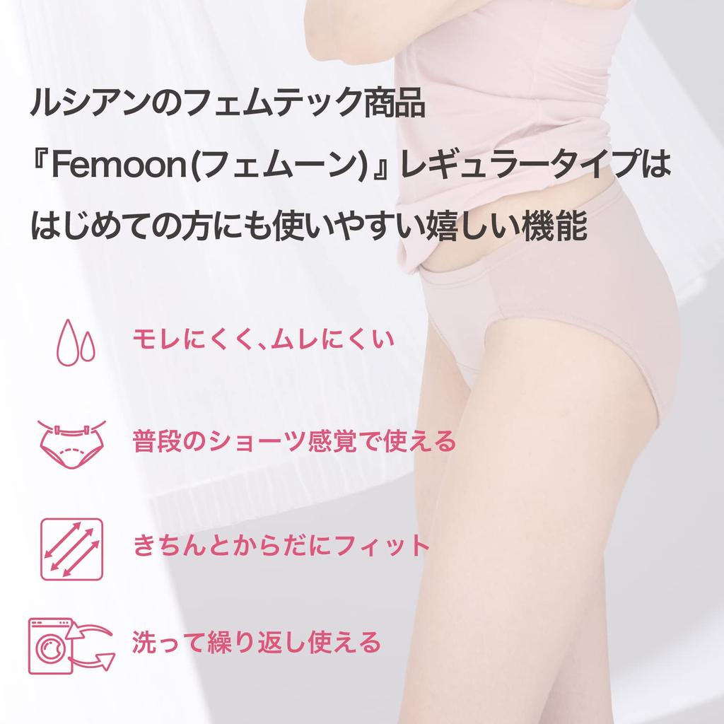 Sanitary Water Absorbent 5 Layer Regular M [Lucien] Shorts, Shorts, Structure, Type, Femoon, Women's, Black,