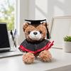 Personalized Graduation Bear Doll 2026 for Her, Soft Plush Teddy with Embroidered Gown, Class of 2026 Graduation Gifts for College High School