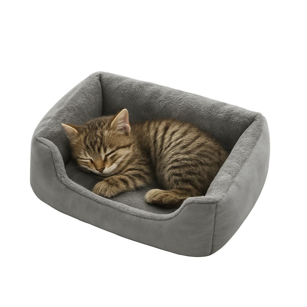 Betten für Katzen Haustierprodukte Kissen Kätzchenartikel Zubehör Hund Alle Häuser Zubehör Dinge Zubehör Lebensräume Korb Haus Betten