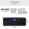 SHILE Professional 10-inch Integrated Audio System CN plug (adapter included)