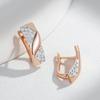 Shiny Natural Zircon Drop Earrings For Women  Rose Gold  Color Mix Setting Design Daily Bride Wedding Jewelry