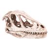 Resin Dinosaur Skull Model Simulated Animal Skeleton Home Office Decor Craft Teaching Prop