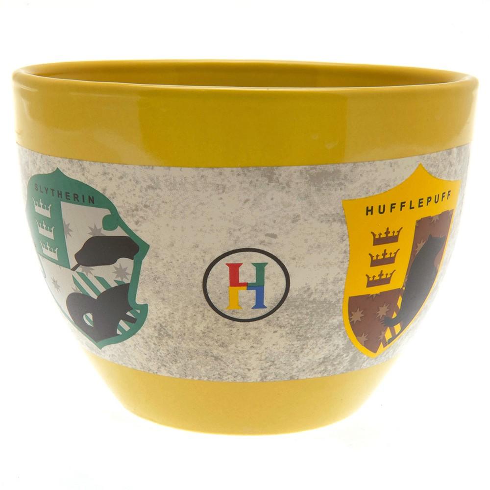 HARRY POTTER Hogwarts-Häuser Henkelloser Becher
