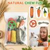 Small Animal Chew Toys Set Natural Wooden and Vegetable Shaped Chew Sticks for Rabbits Guinea Pigs Chinchillas Hamsters