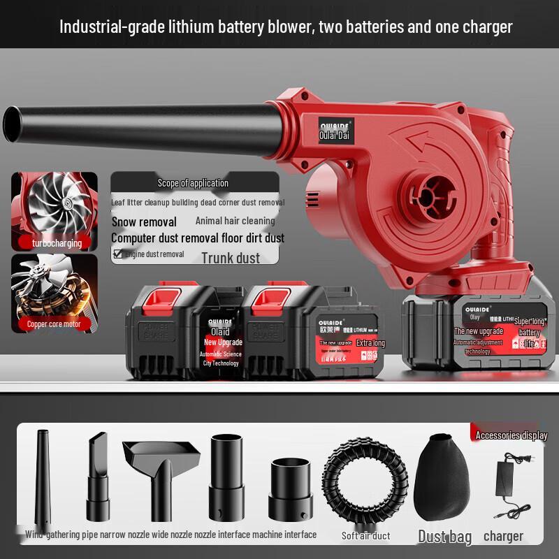 Oulaide Cordless 21V Lithium-Ion Blower Series CN Plug (adapter Included)