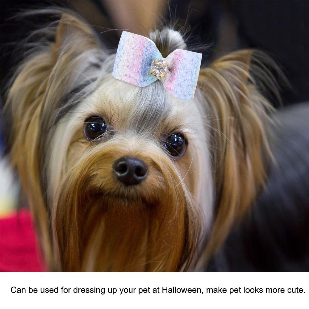 small dog bows