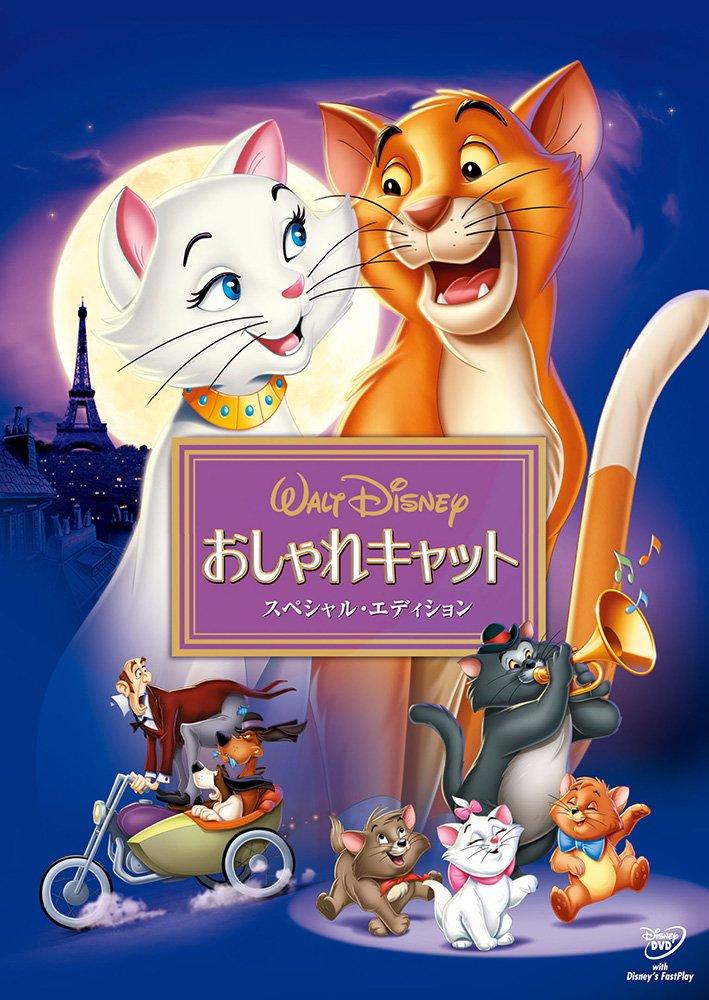 

Fashionable Cat Special Edition [DVD]